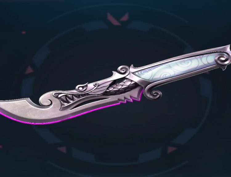 5 Years // Beta Remastered Knife VALORANT