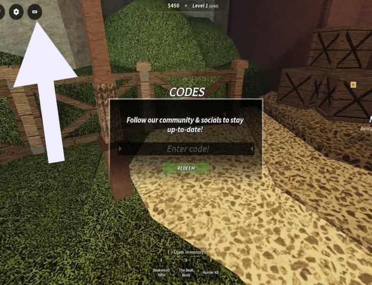 How to redeem codes in Beaks.