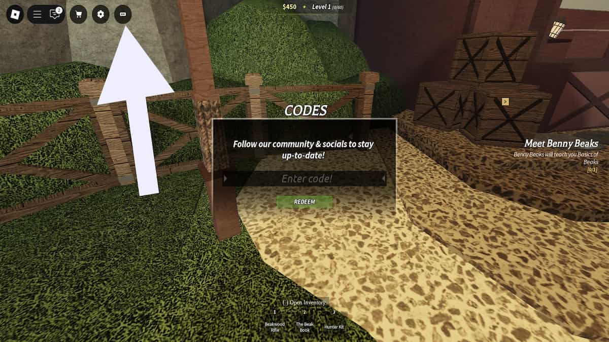 How to redeem codes in Beaks.