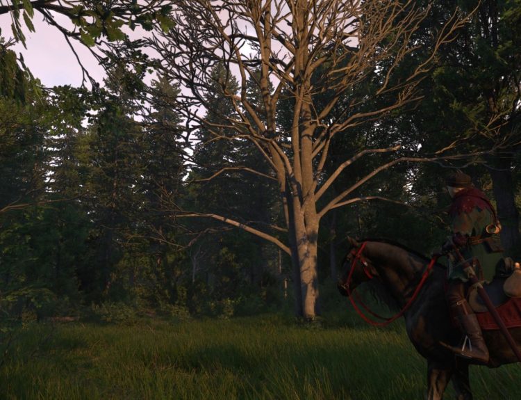 Kingdom Come Deliverance 2 - God Disposes Quest