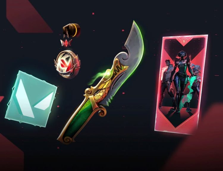 5 Year // Beta Remastered bundle VALORANT