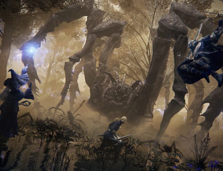 Elden Ring Nightreign Co-op