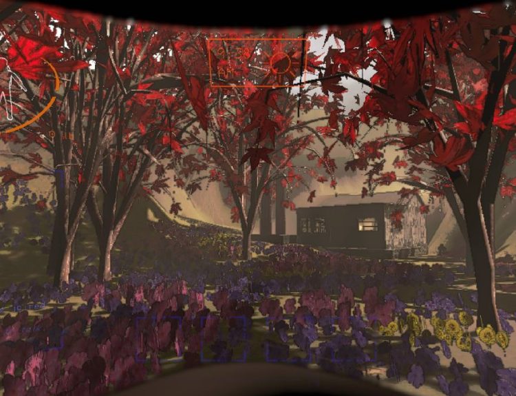Adamance forest with locked cabin in background