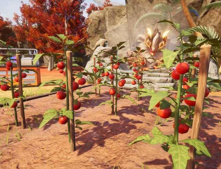 Picture showing a Tomato farm in Palworld.