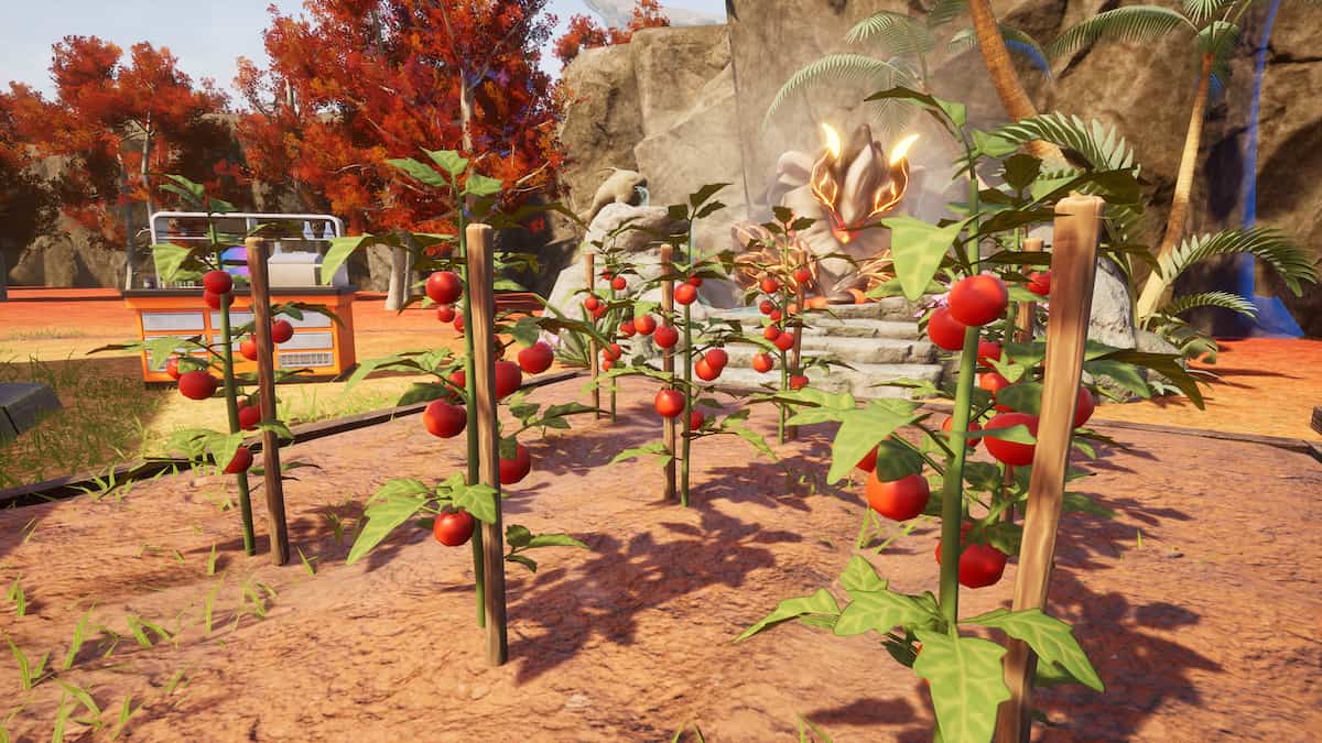 Picture showing a Tomato farm in Palworld.