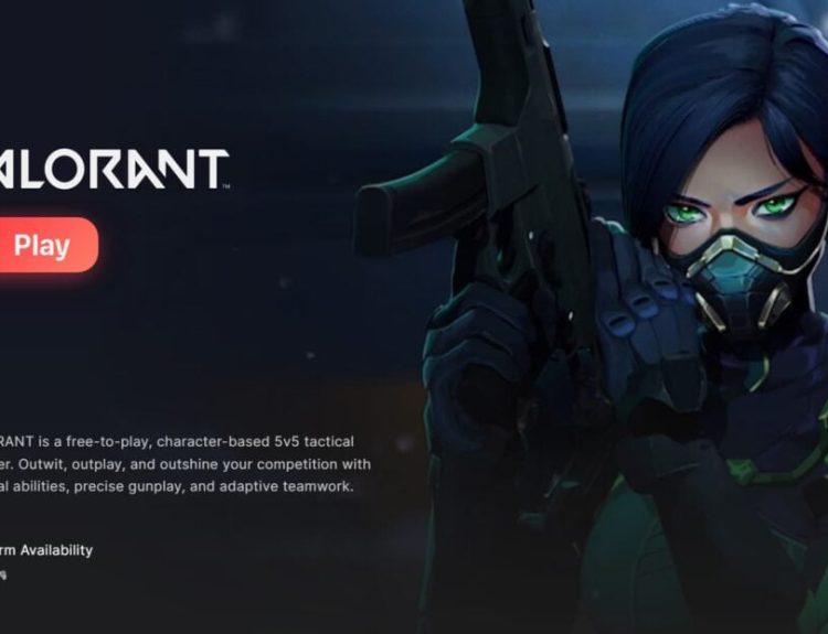 VALORANT Riot Client app page
