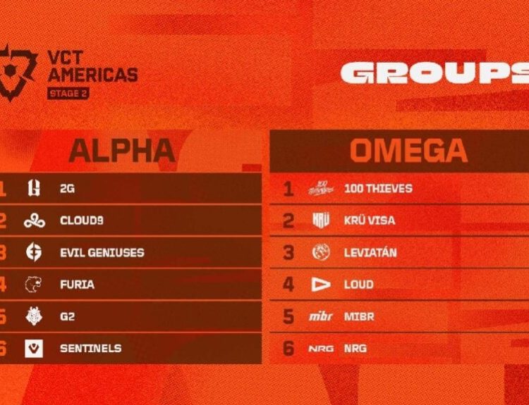 an image of the groups in vct americas