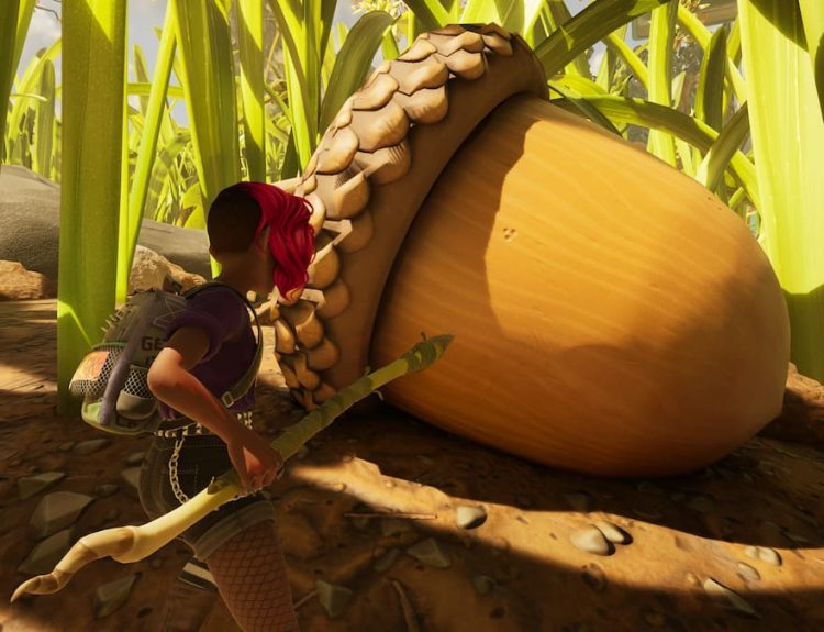 Picture showing a player near a Acorn in Grounded 2.