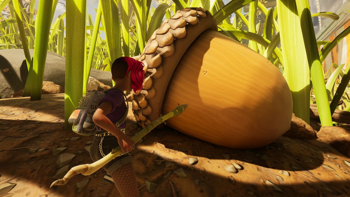 Picture showing a player near a Acorn in Grounded 2.