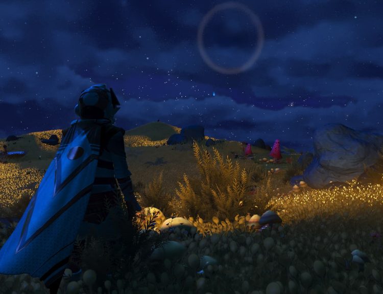 A screenshot from No Man's Sky showing the player staring up at a starry sky with a planet in the distance. They are in a field of illuminating plants.