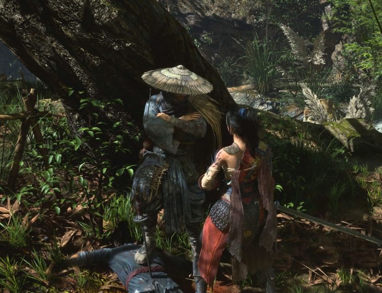 Retrieve Elixirs for Nian Suichang Wuchang Fallen Feathers