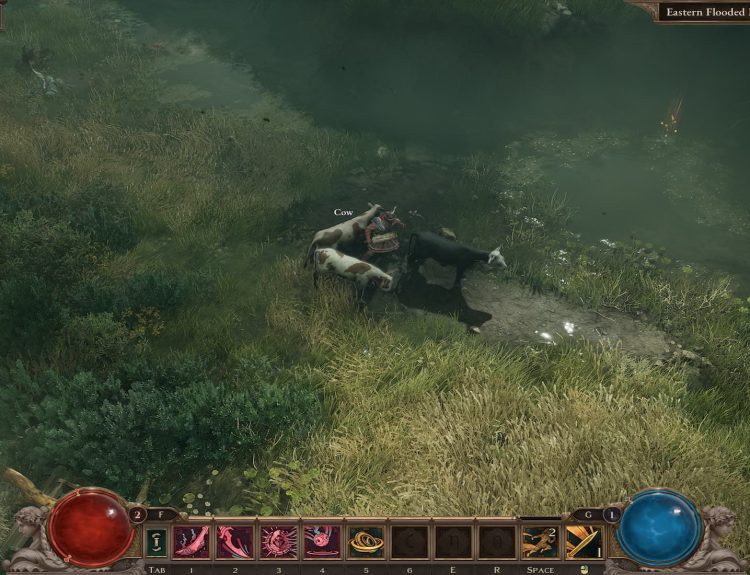 The Player Standing around 3 of the Missing Cows