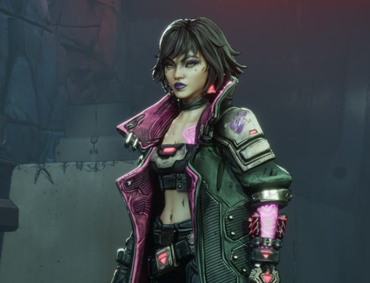 a Vault Hunter in Borderlands 4