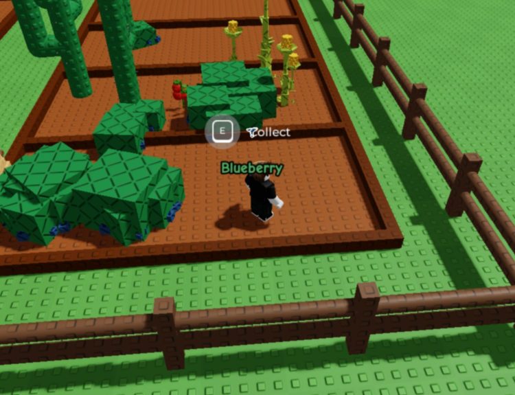 Grow a Garden fence