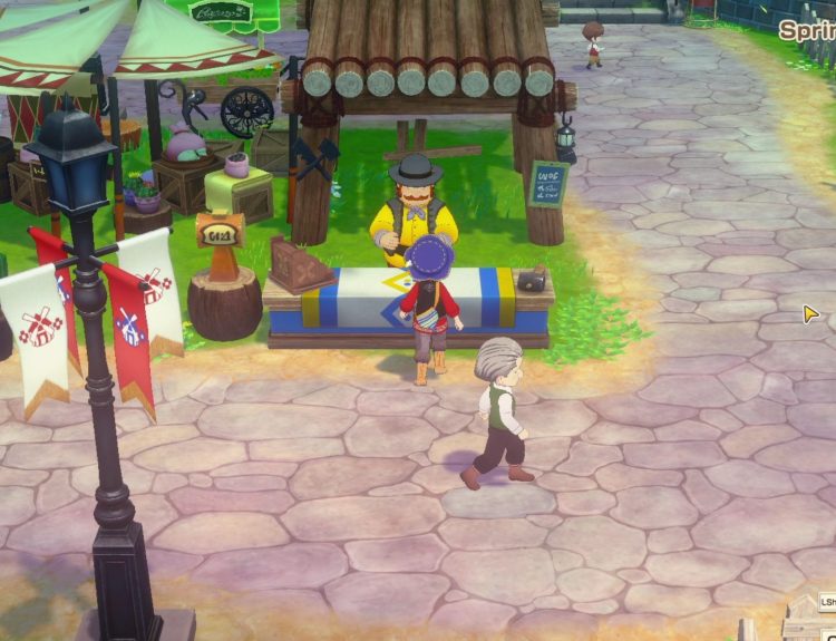 how to expand bag story of seasons grand bazaar
