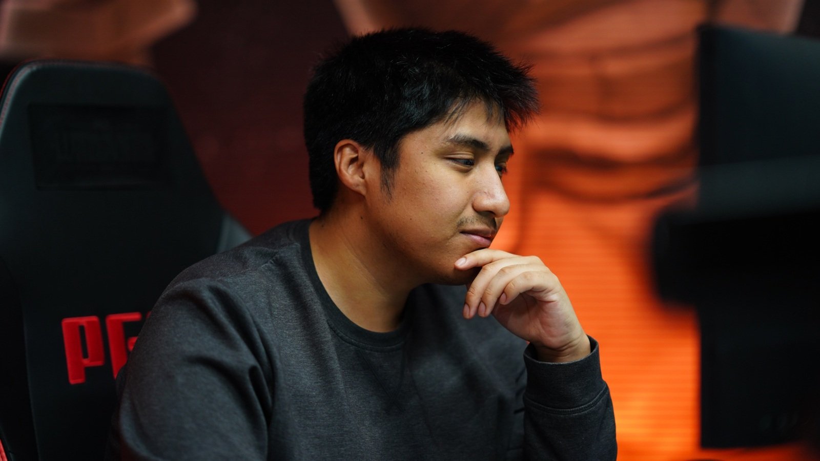 Photo of Wisper.