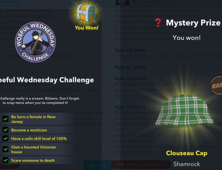 bitlife woeful wednesday mystery prize