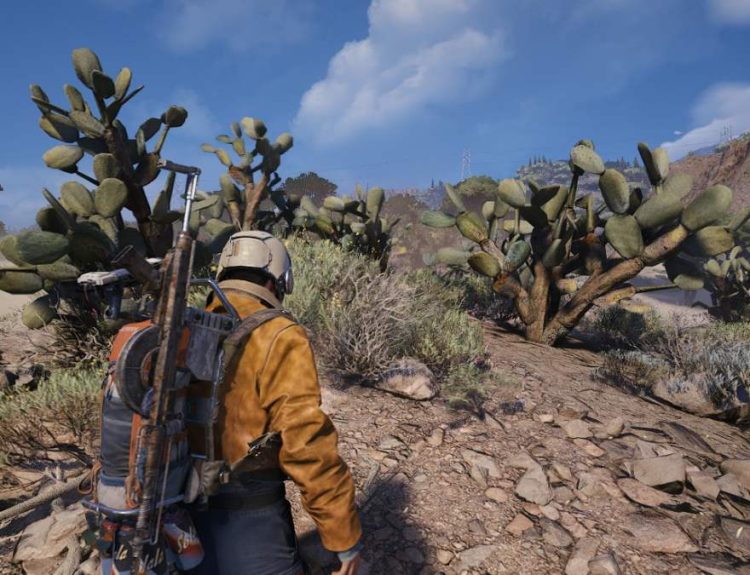 Cacti in ARC Raiders