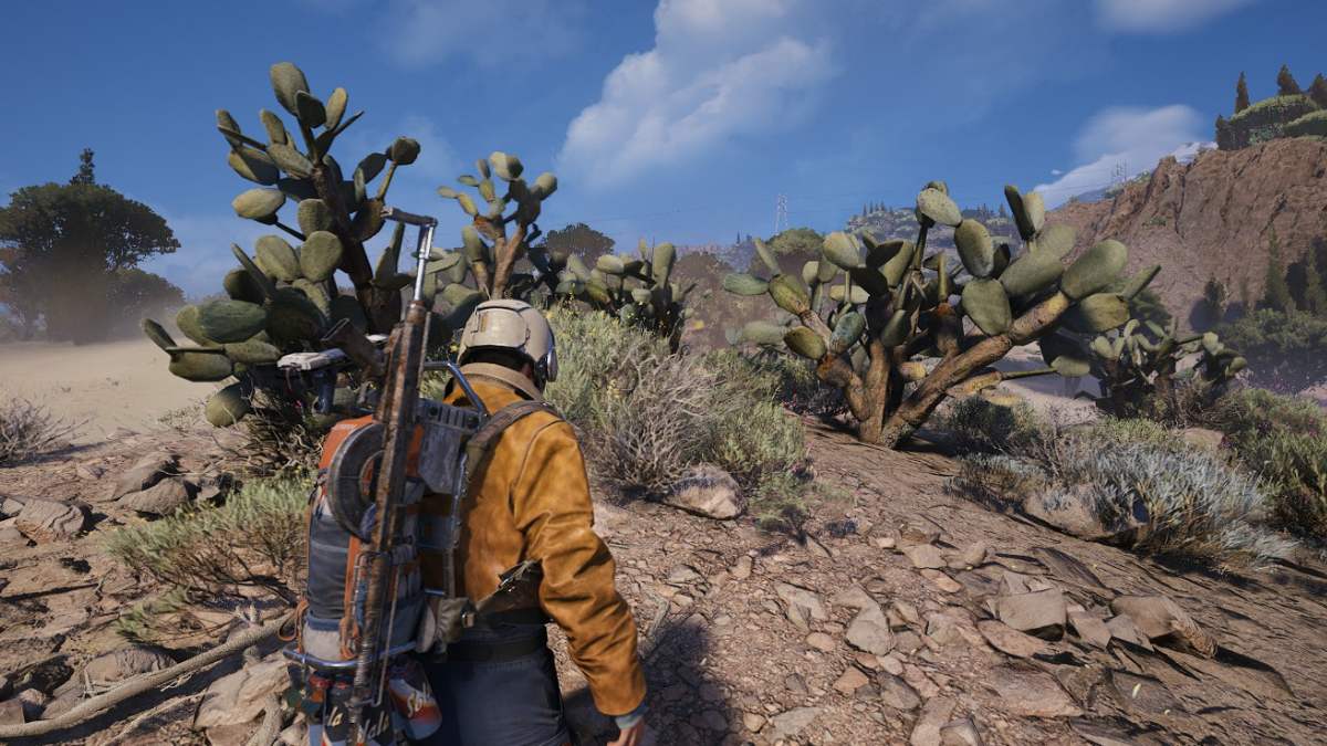 Cacti in ARC Raiders